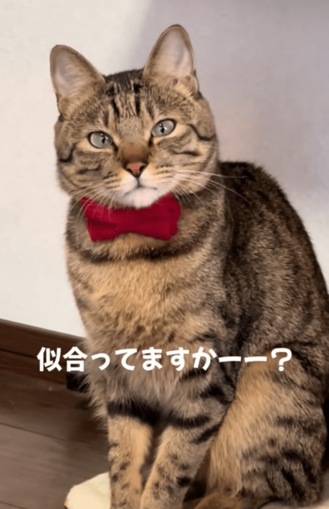 イケメンに成長（＠marumarukomaru50さんより提供）