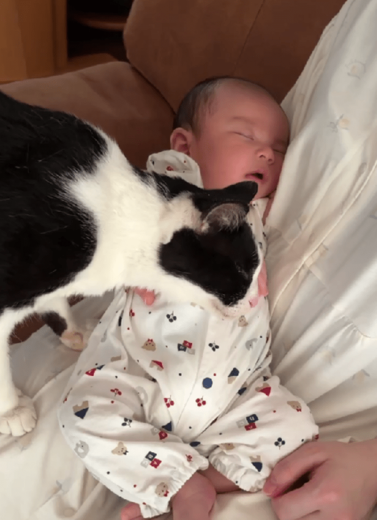 赤ちゃんが生後40日の頃（@hinamelo313より提供）