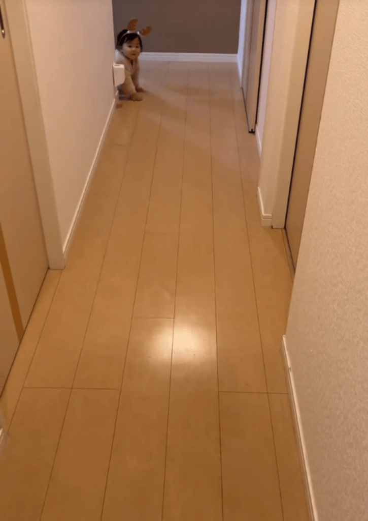 【実際の写真】扉を開けた瞬間の光景