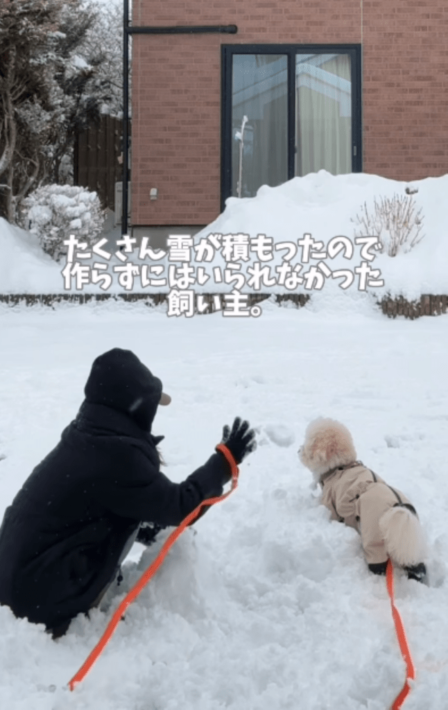 【実際の写真】飼い主さんがとった行動