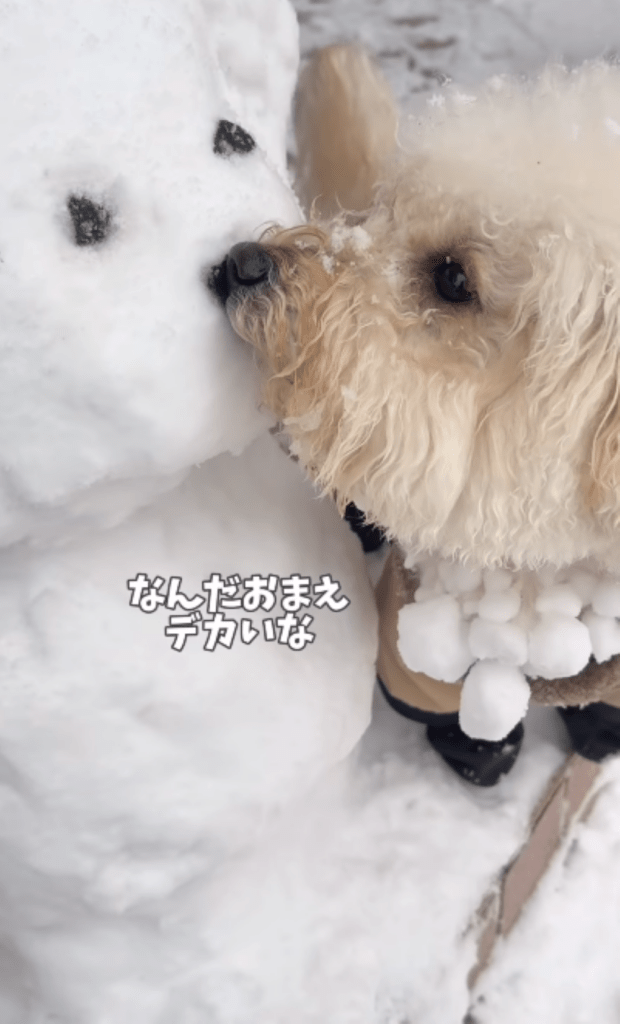 興味津々の凪くん（＠nagi_11.10さんより提供）