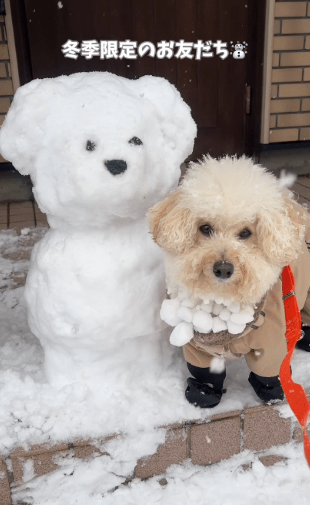 雪遊び中のワンコ。しかし、飼い主がとった行動に…「冬限定のお友達」「即席ネックレスもイケてる」