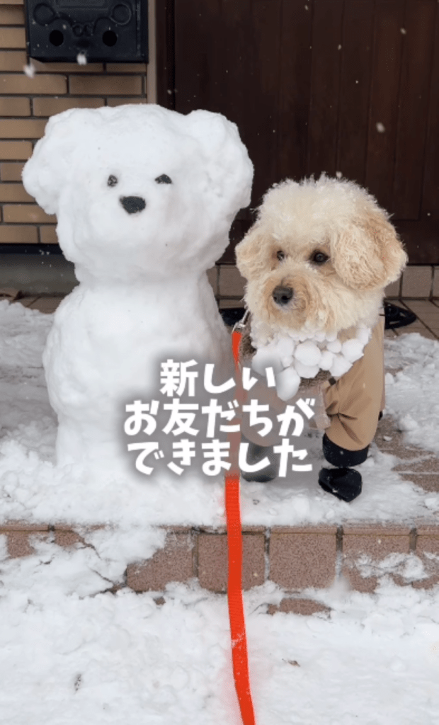 そっくりな2匹（＠nagi_11.10さんより提供）