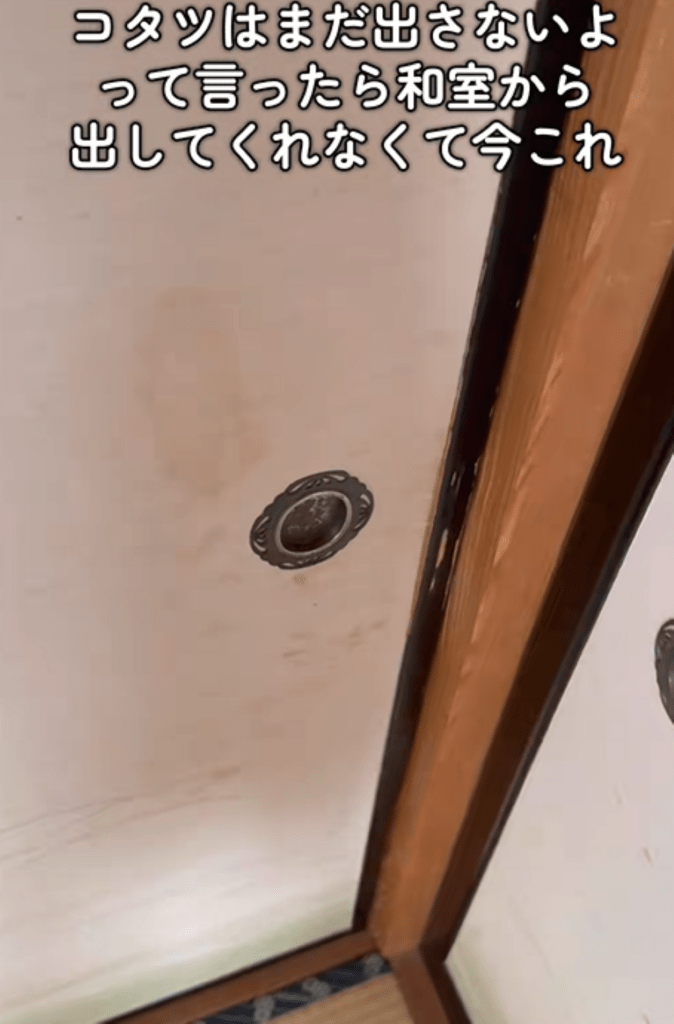 すぐに閉められてしまう（＠miyama_fukayamaさんより提供）