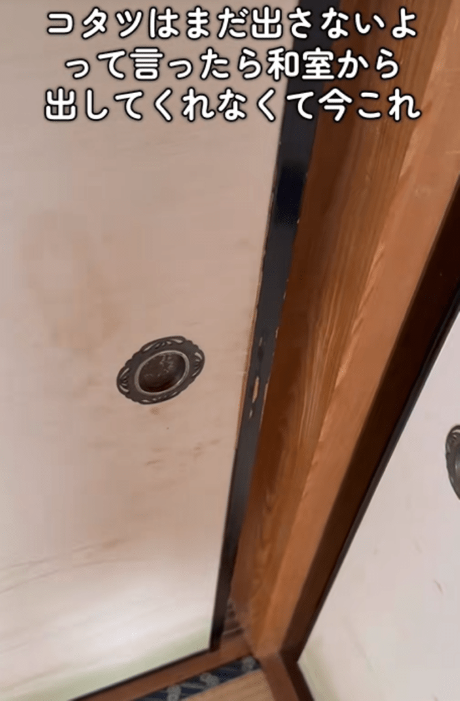 少し隙間を開けるも…？（＠miyama_fukayamaさんより提供）