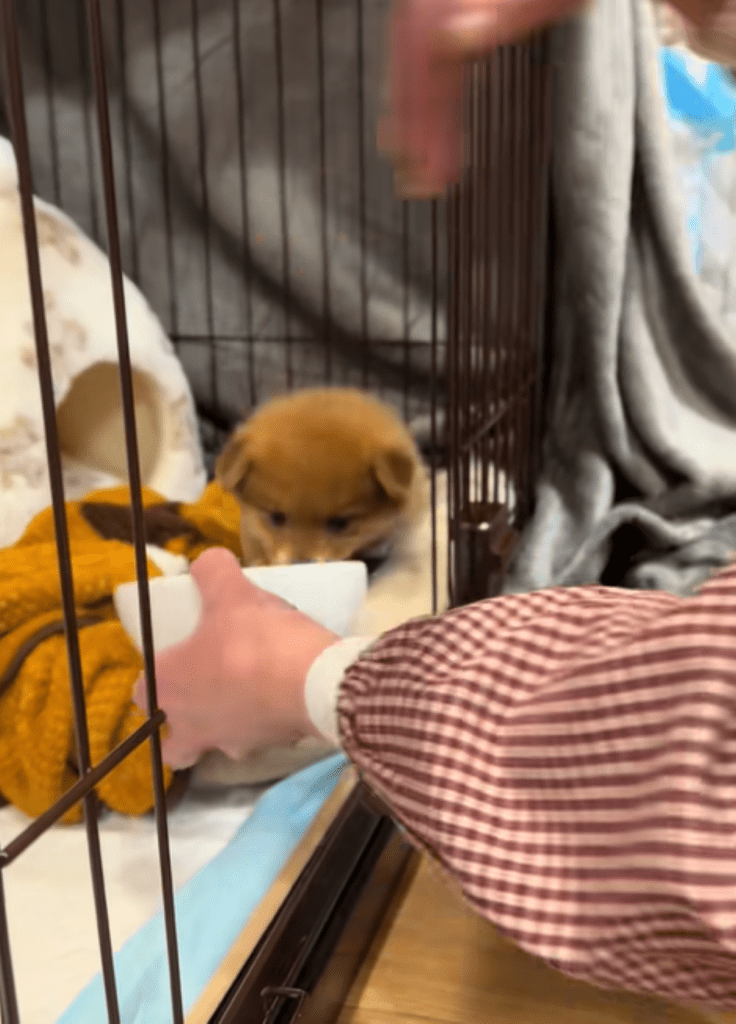 眠りから覚醒！（＠yuuchan0836さんより提供）