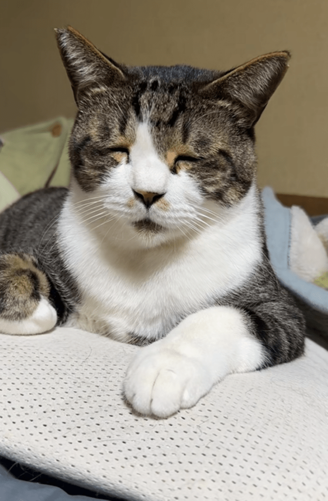 目を細める様子（＠fujifujifuujiiさんより提供）