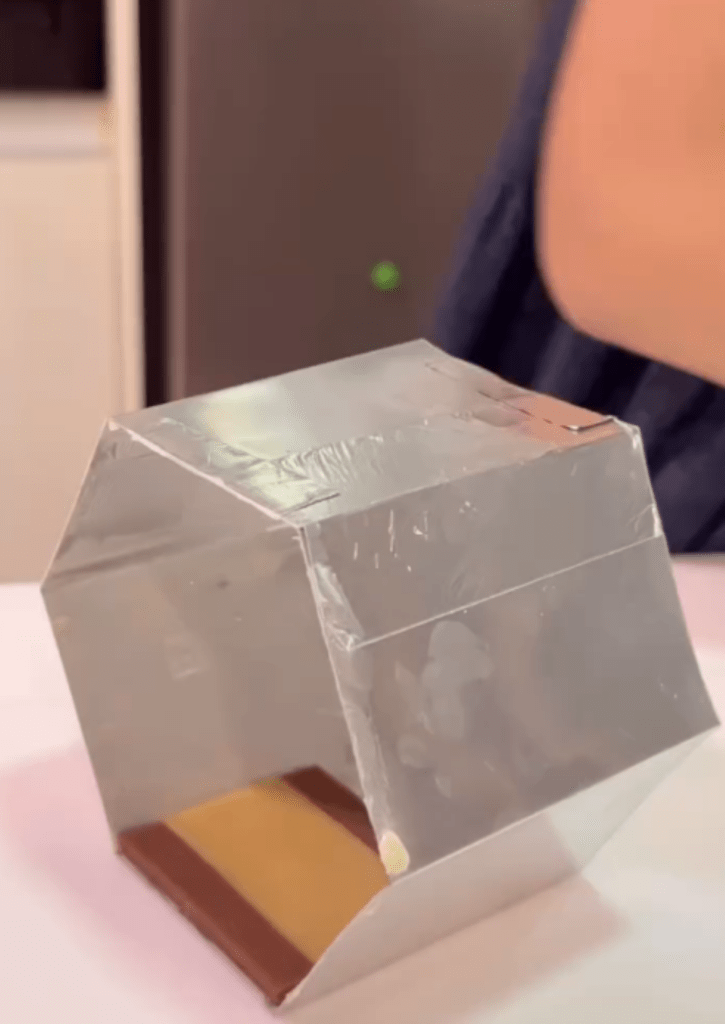 【実際の写真】完成したケーキ