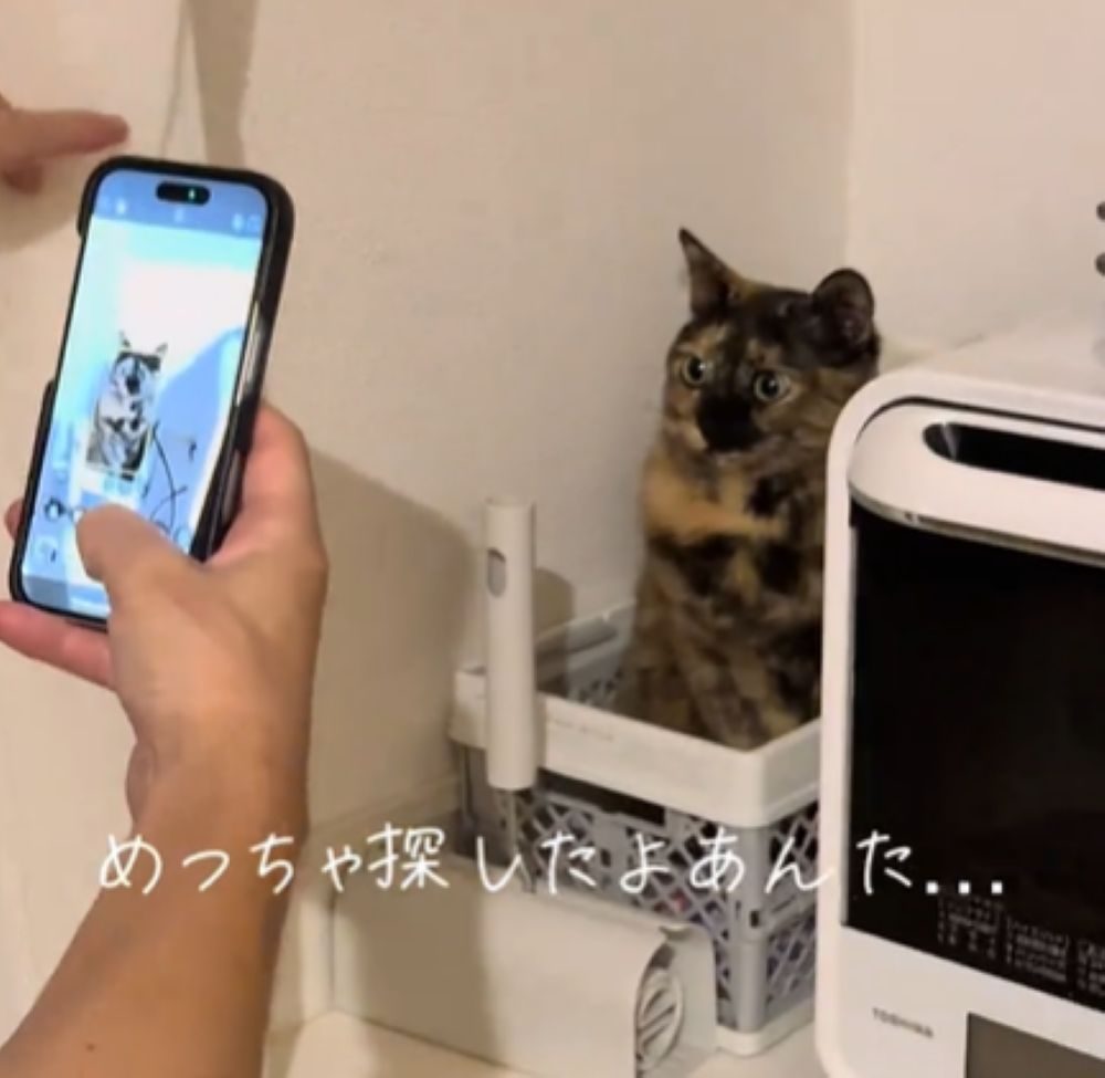 ちゃっこちゃんを見つけたのは…（＠chakkosabiさんより提供）