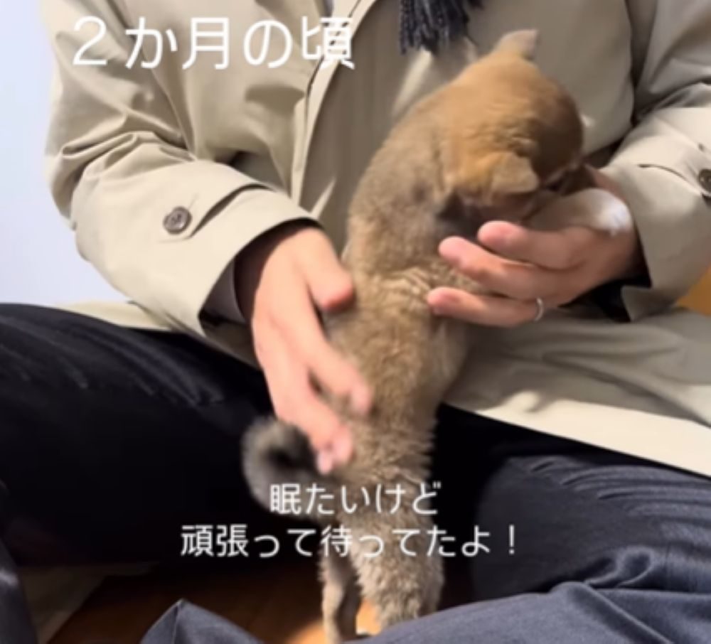 大喜びのモカちゃん（＠mochagram2025さんより提供）