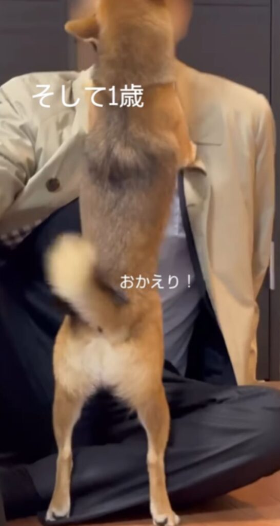 伸び上がるモカちゃん（＠mochagram2025さんより提供）