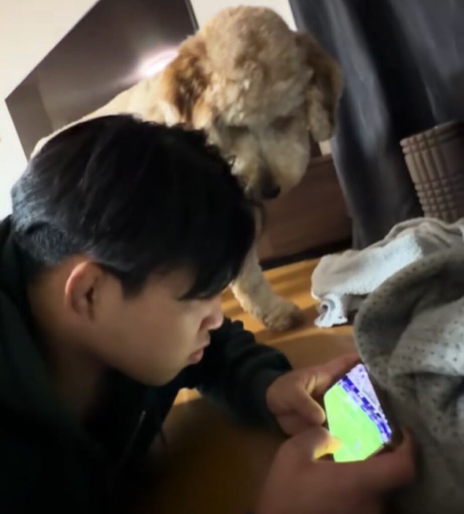 携帯に興味津々①（＠kippo52さんより提供）