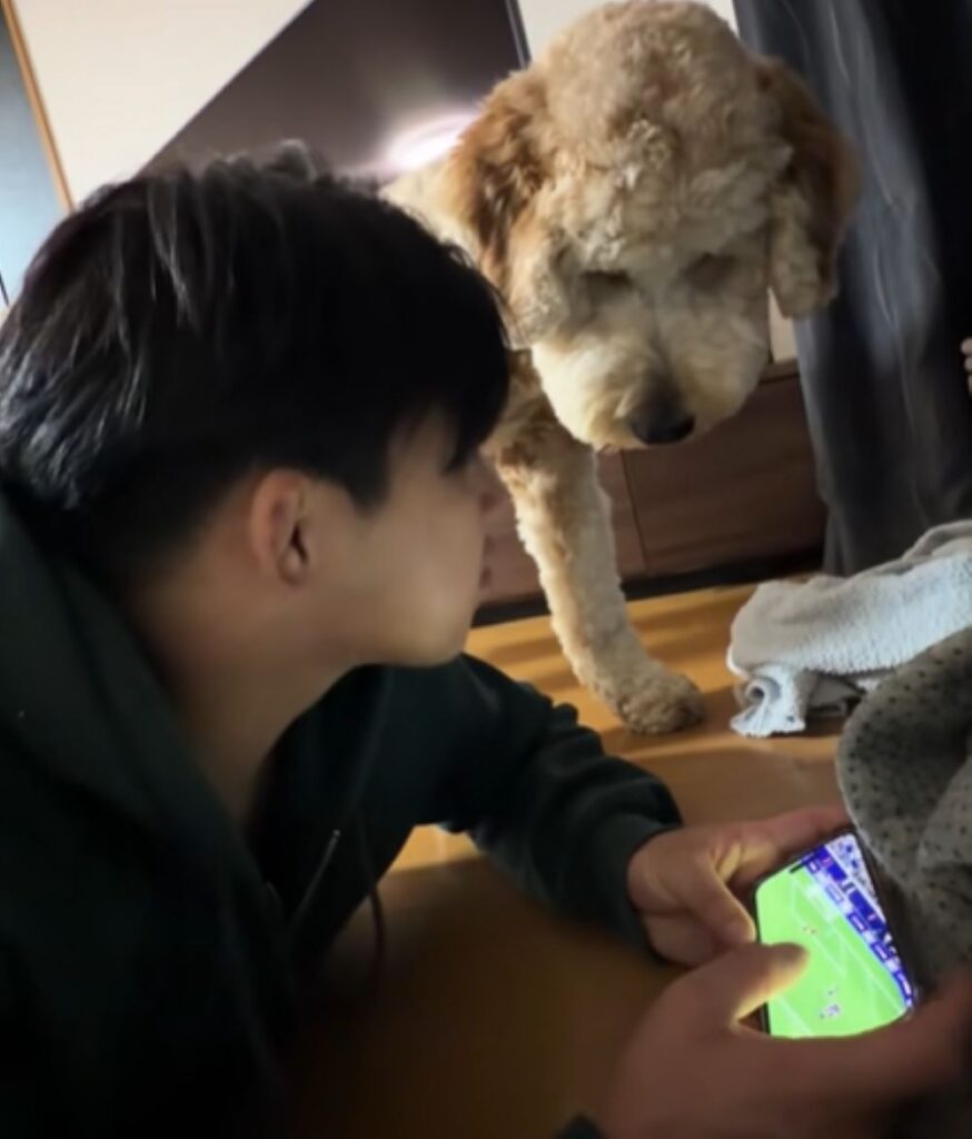 携帯に興味津々②（＠kippo52さんより提供）