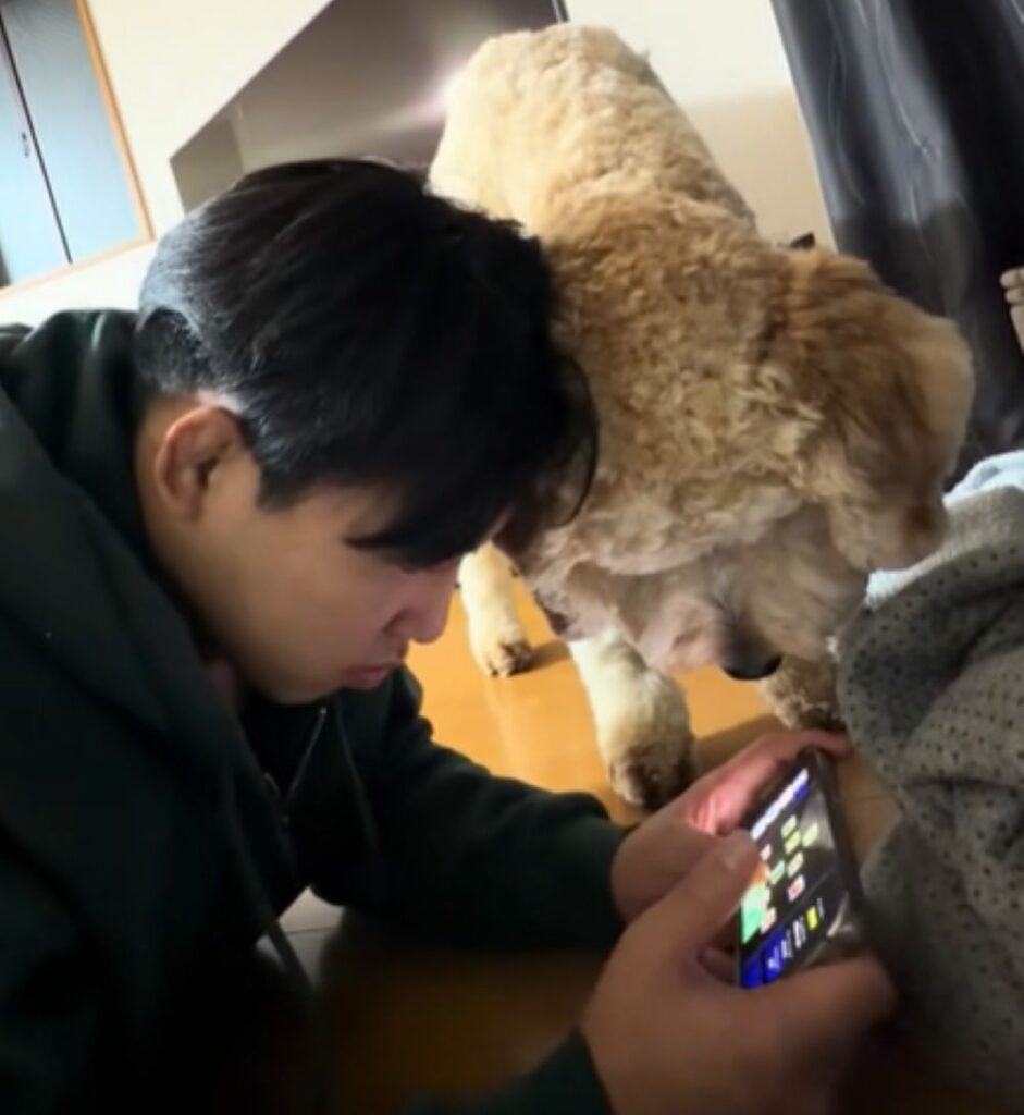 【実際の写真】気配を感じた理由