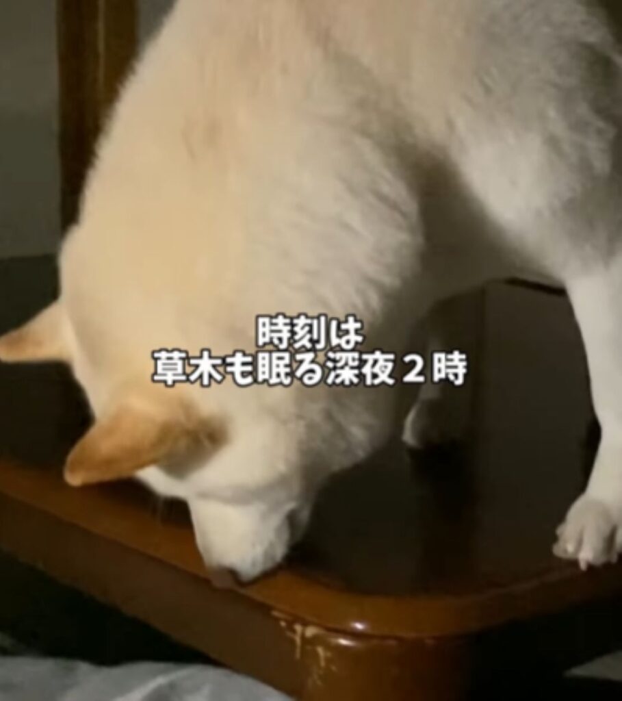 時刻は深夜2時（＠haru_haruchankoさんより提供）