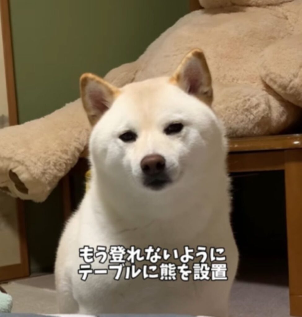 テーブルへの対策（＠haru_haruchankoさんより提供）