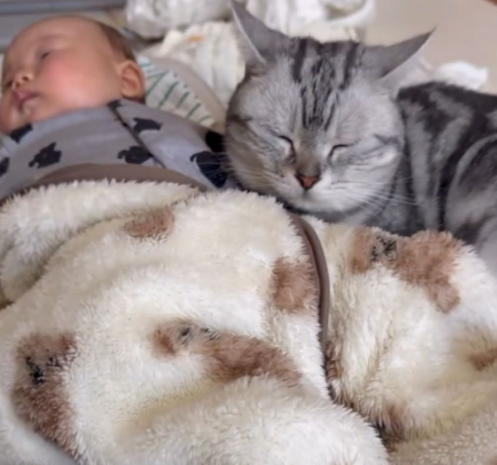 寄り添うぴとくん⑤（＠okane_pinchさんより提供）