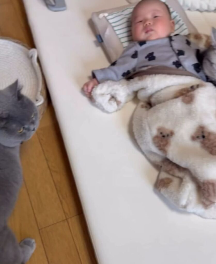 ほかにも見つめる子が…（＠okane_pinchさんより提供）