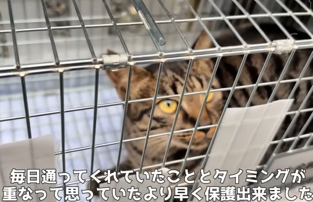 ジローくんを保護（＠kawaii_mofumofuさんより提供）