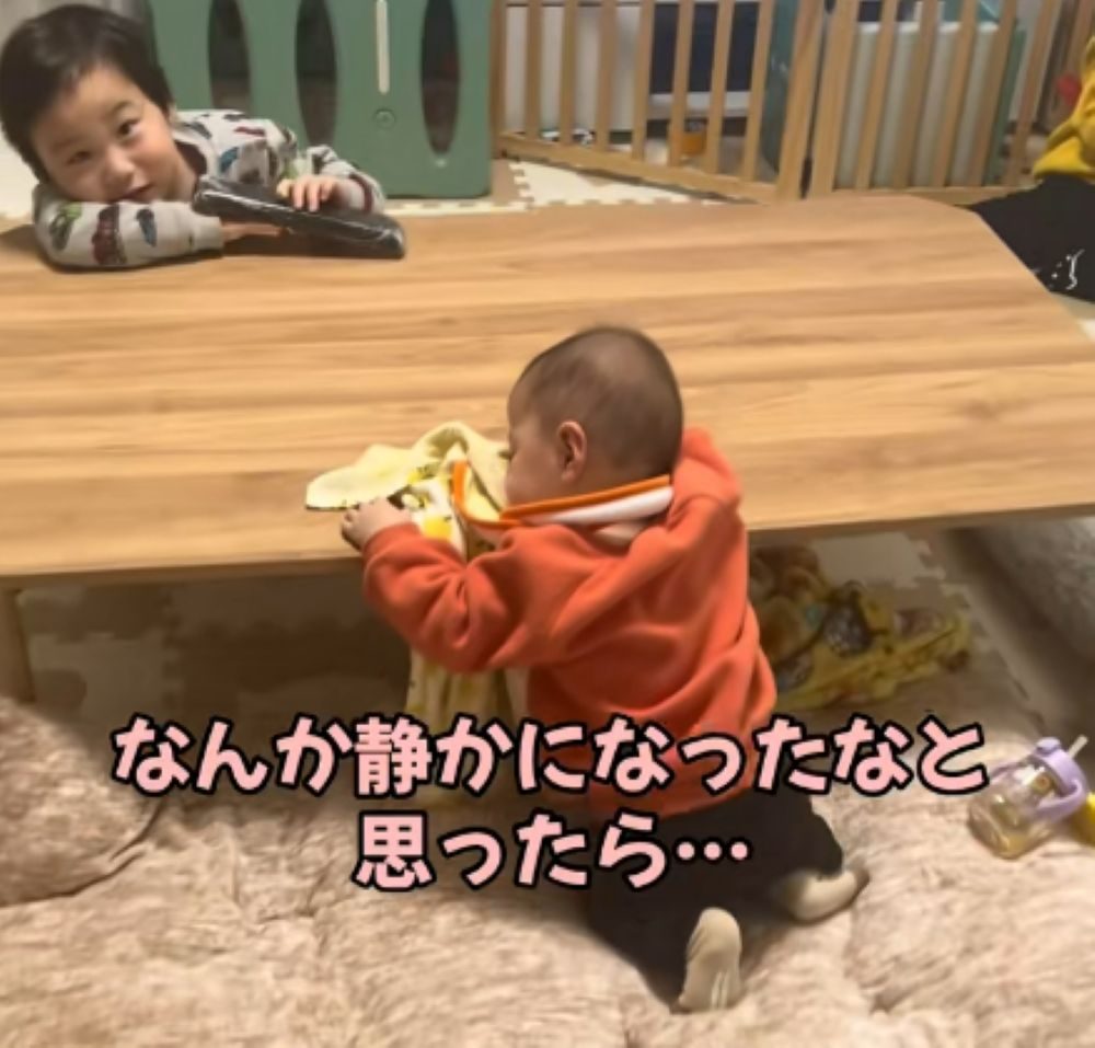 【実際の写真】ママさんが様子を見に行った結果