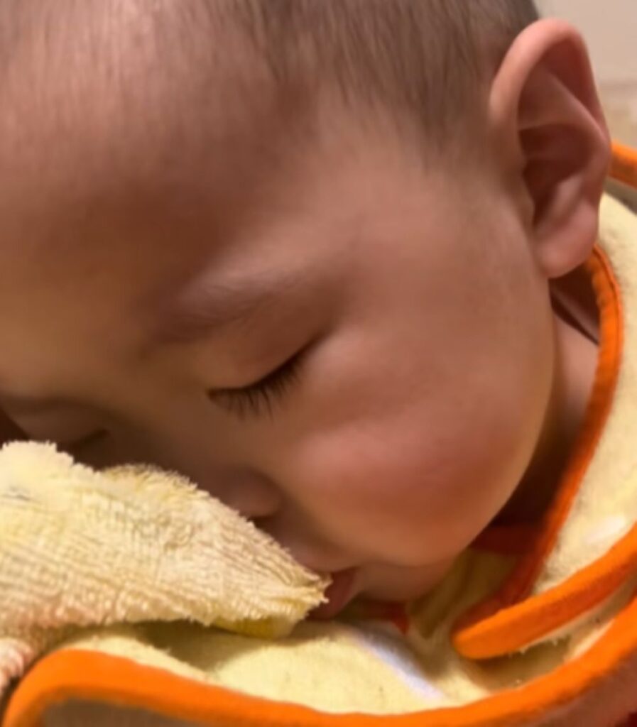 ぐっすり眠っています（＠pikasakutoraさんより提供）