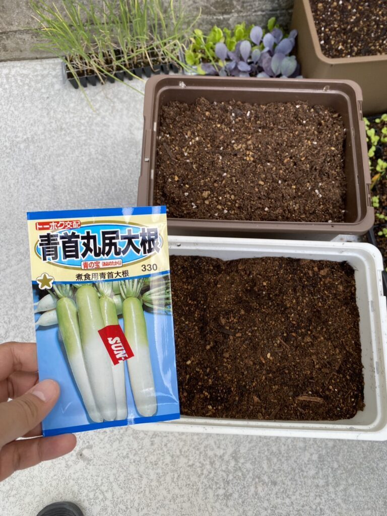 【実際の写真】実際に収穫されたモノ