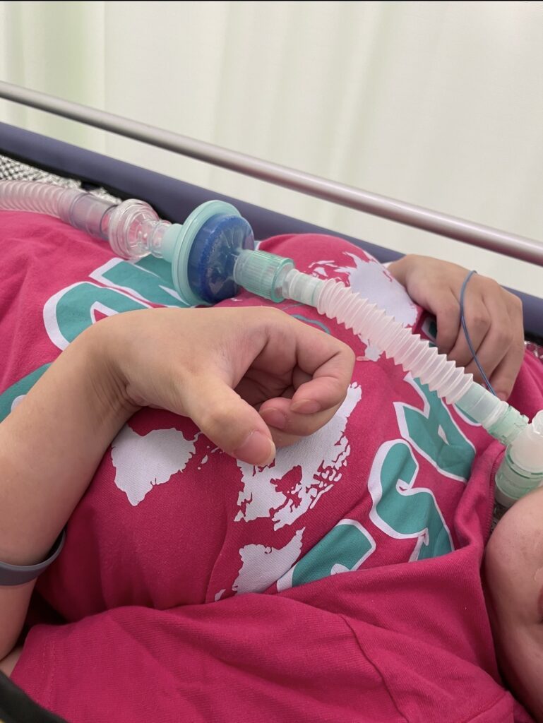 【実際の写真】現在の様子