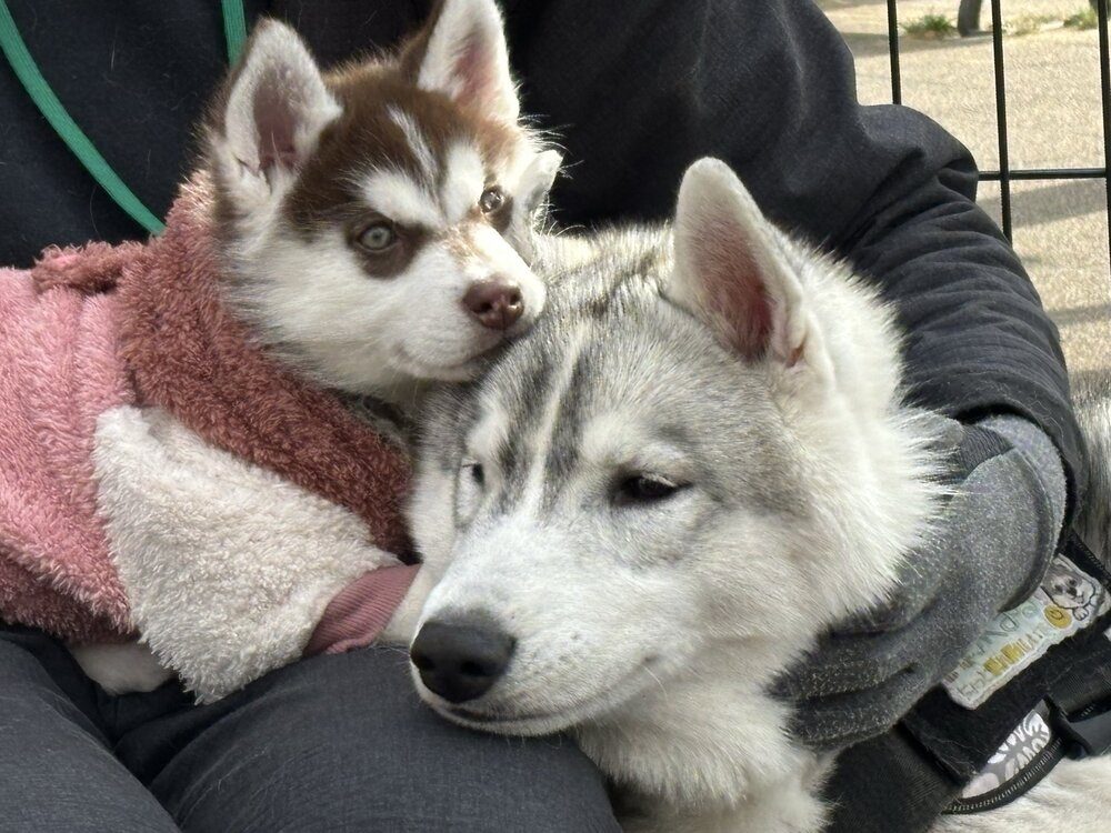 【実際の写真】9ヶ月後の姿