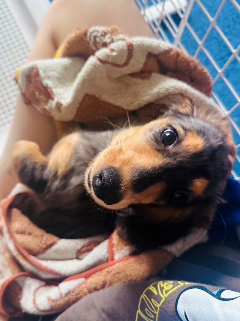 ミルさん①（＠_millcoffee0224さんより提供）