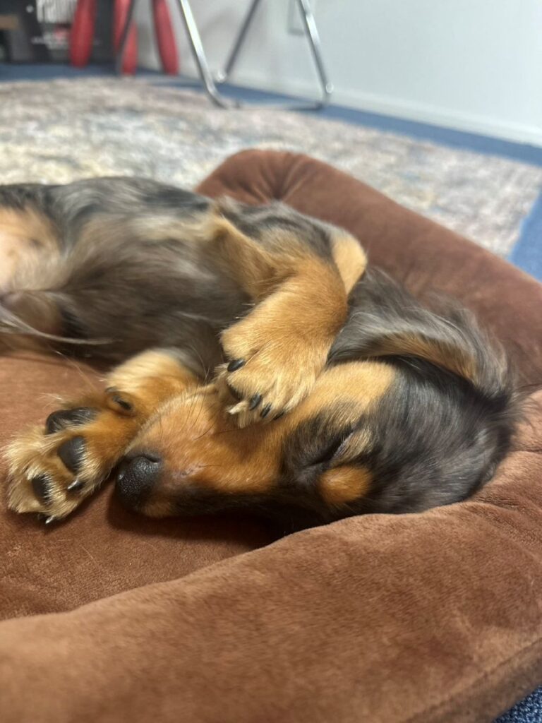 ミルさん②（＠_millcoffee0224さんより提供）