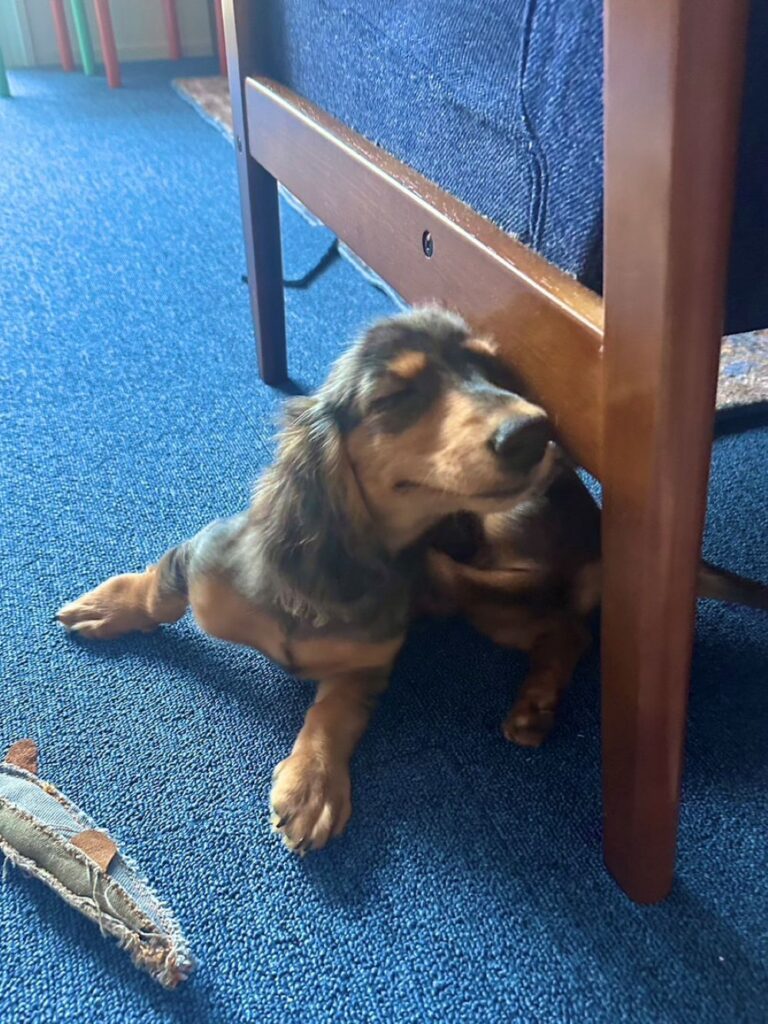 ミルさん③（＠_millcoffee0224さんより提供）