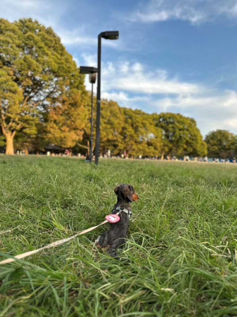 ミルさん④（＠_millcoffee0224さんより提供）