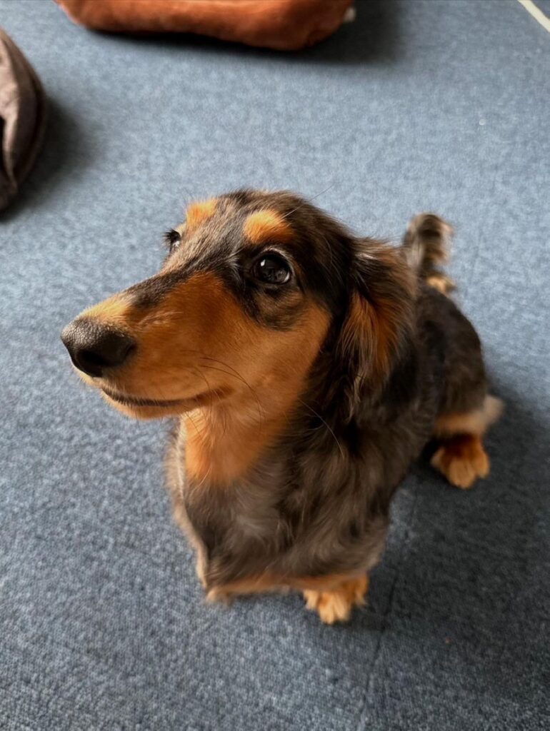 ミルさん⑤（＠_millcoffee0224さんより提供）