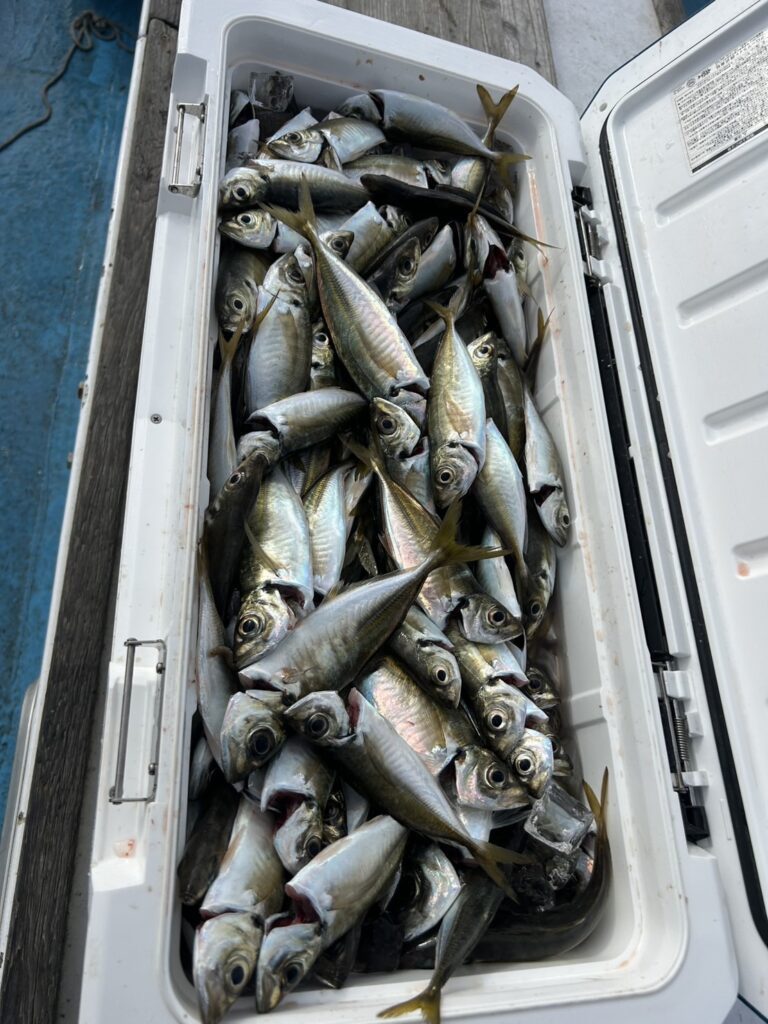 【実際の写真】幼馴染から届いたLINE（全文）