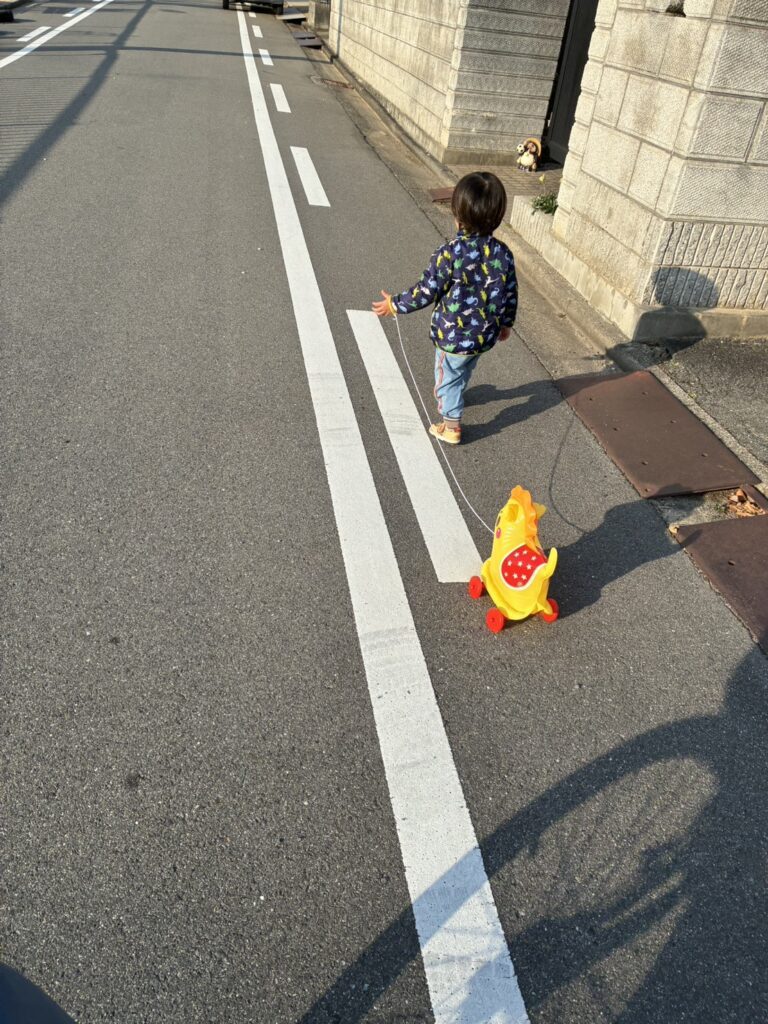 【実際の写真】　2時間散歩した結果