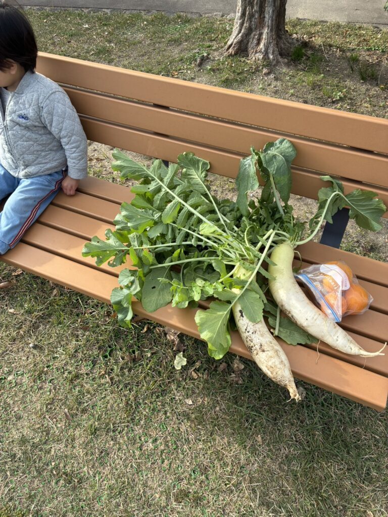 たくさんの野菜（＠y.y.k.0310さんより提供）