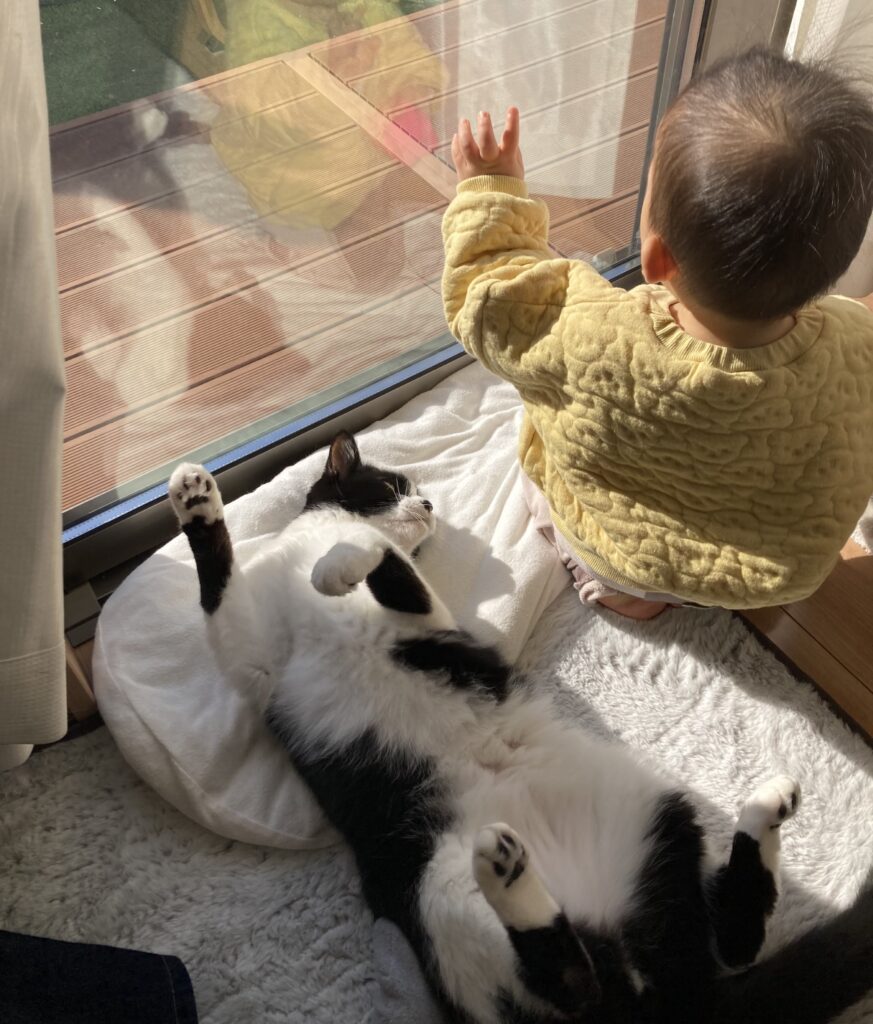 窓際が好きな2人（＠nekosuki1121さんより提供）