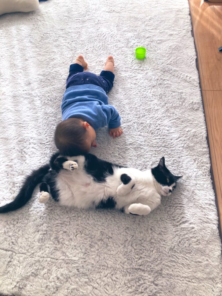 息子さんも好き好き（＠nekosuki1121さんより提供）