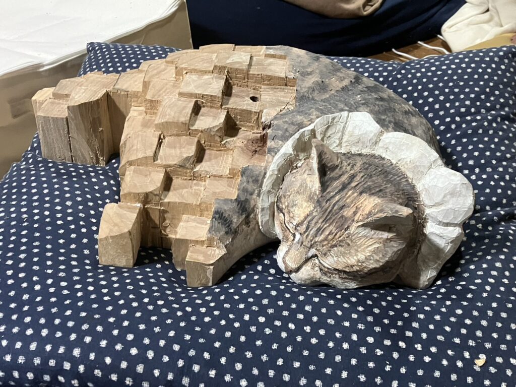 ターちゃんにそっくり（＠aiaratanozomuさんより提供）