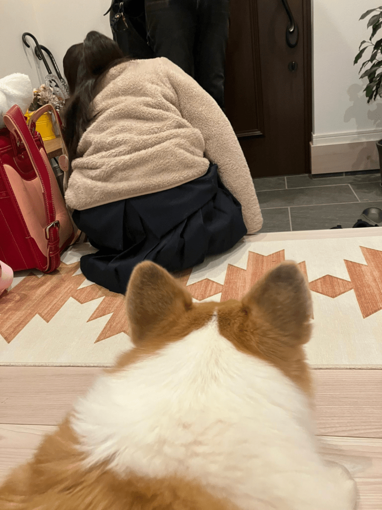 普段の様子③（@kogi_musuさんより提供）