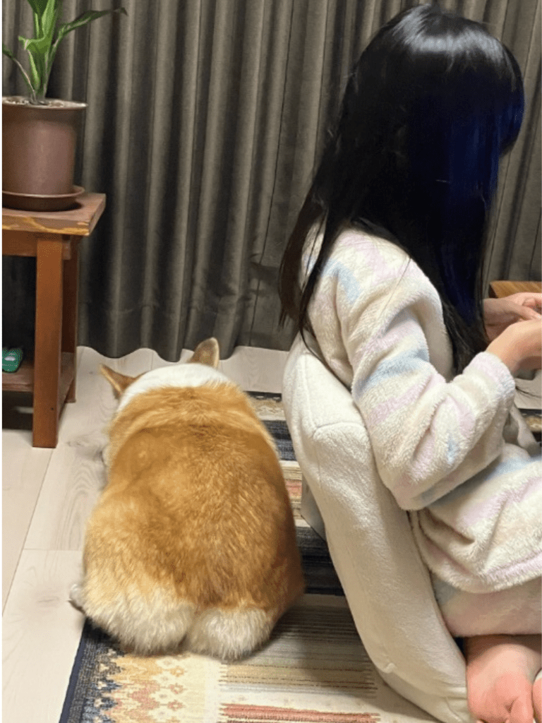 【実際の写真】違和感の正体