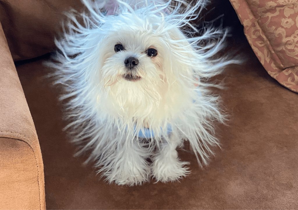 【画像】　対策の仕方