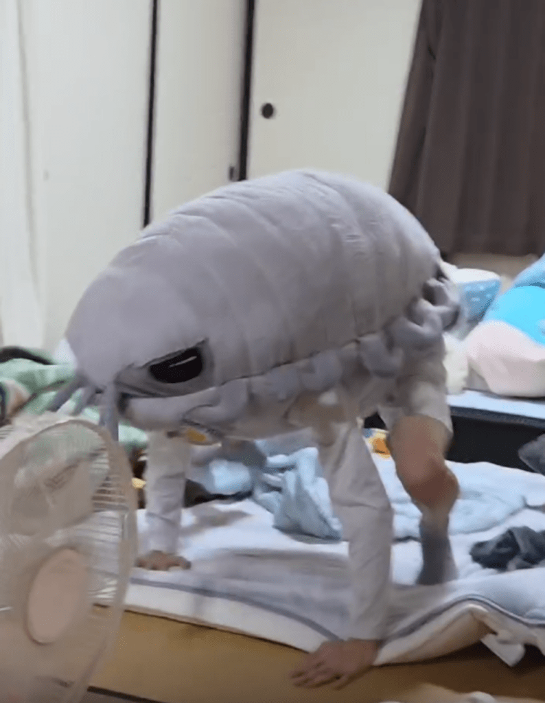 ぬいぐるみを着てはしゃぐ甥っ子の長男くん①（＠kotatuga.sukiさんより提供）