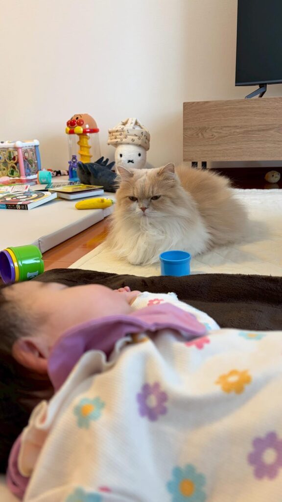 普段の様子③（＠biju0703さんより提供）