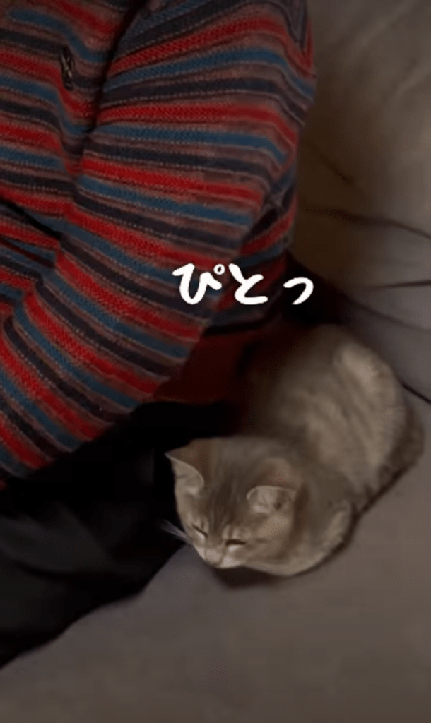 ぴったり寄り添う様子（＠marcoginaguitarさんより提供）