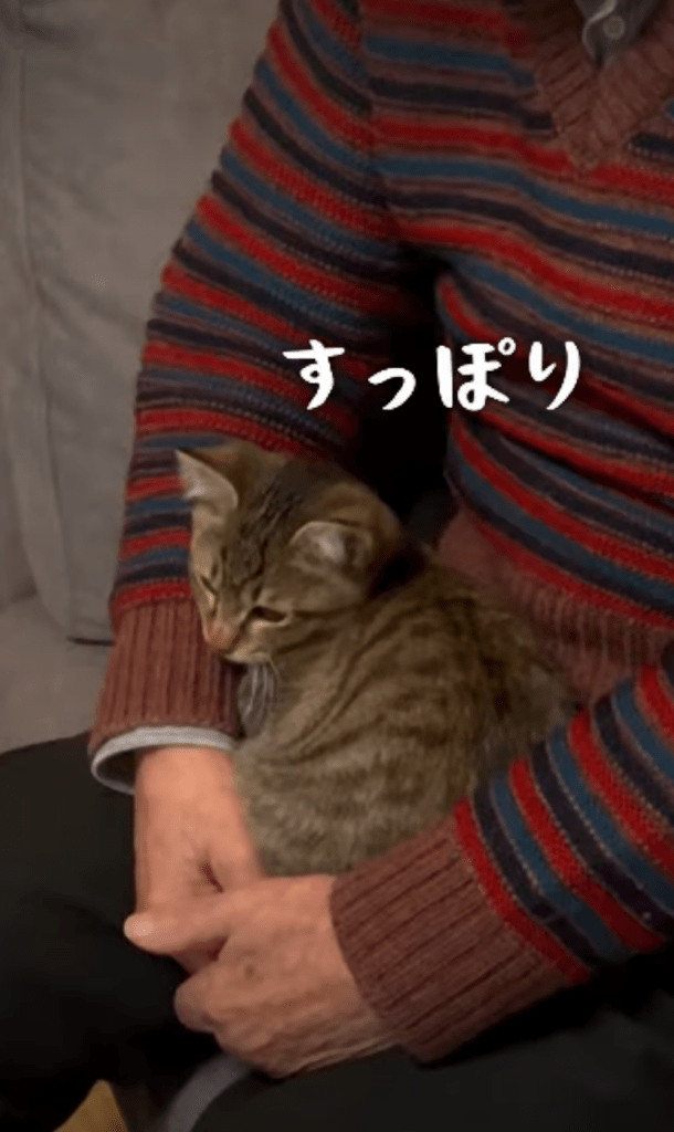 すっかりリラックス（＠marcoginaguitarさんより提供）