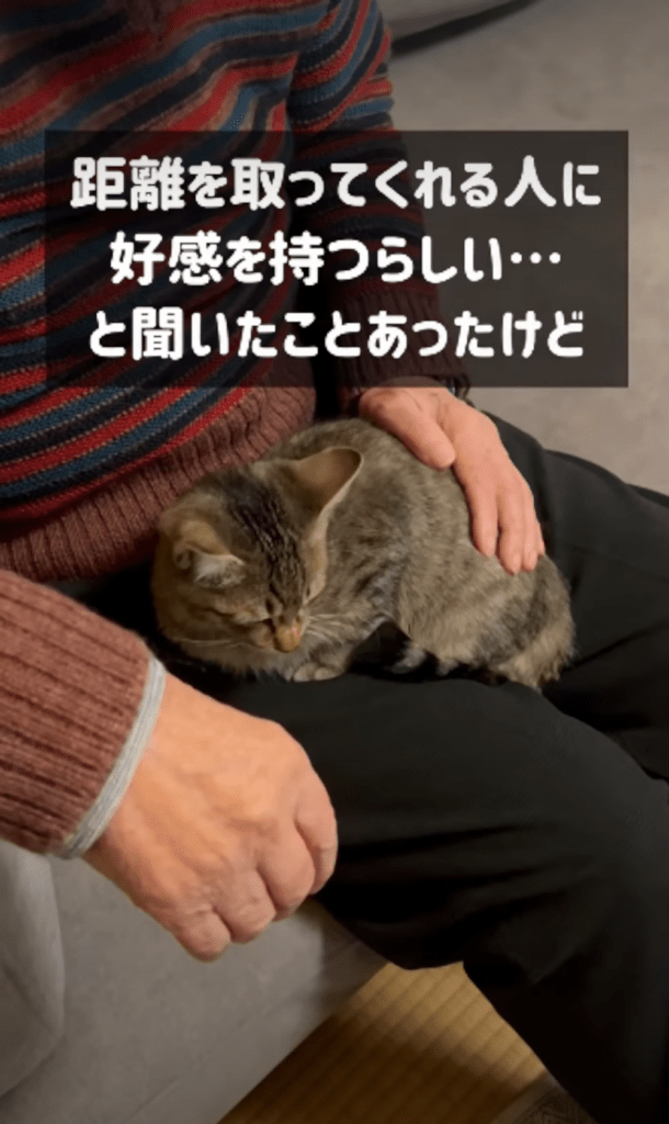 おじいちゃんが大好きに（＠marcoginaguitarさんより提供）