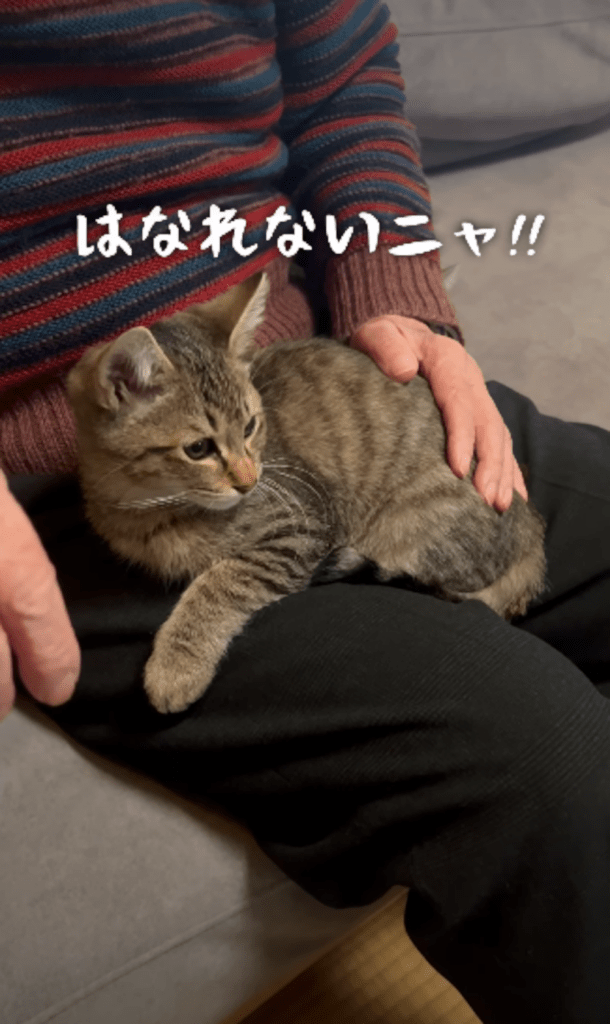 離れようとせず（＠marcoginaguitarさんより提供）