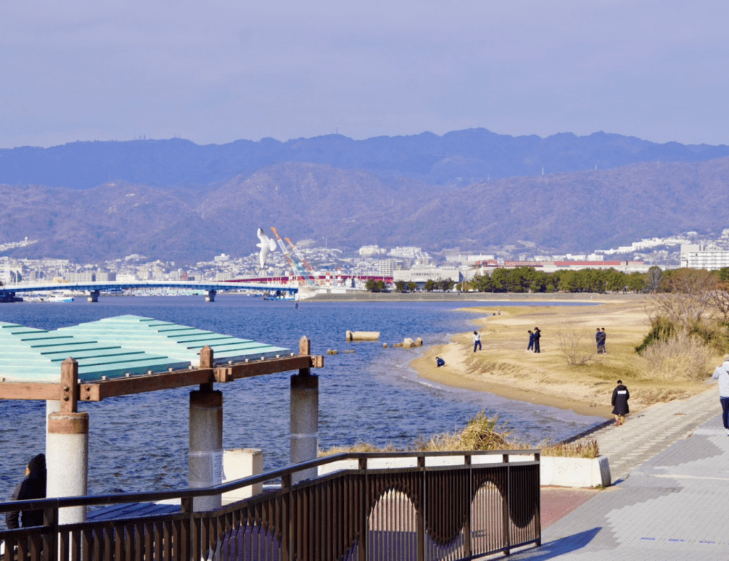 見つけた海岸（@sato298さんより提供）