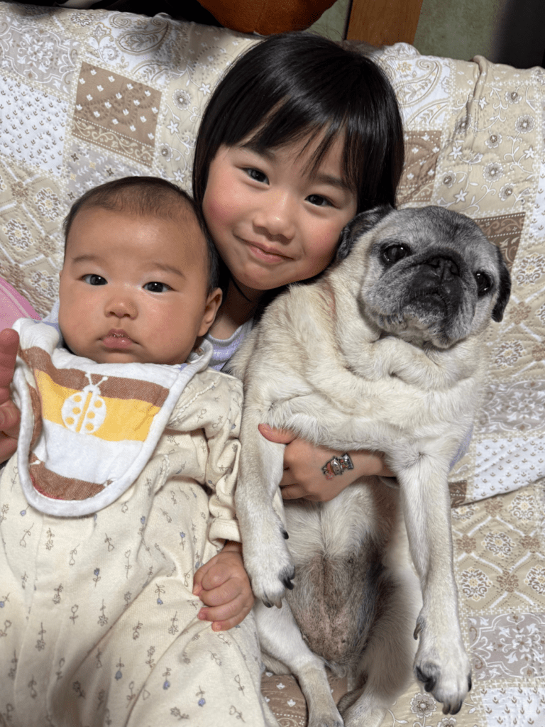 いつもの様子①（@akiaki101010さんより提供）